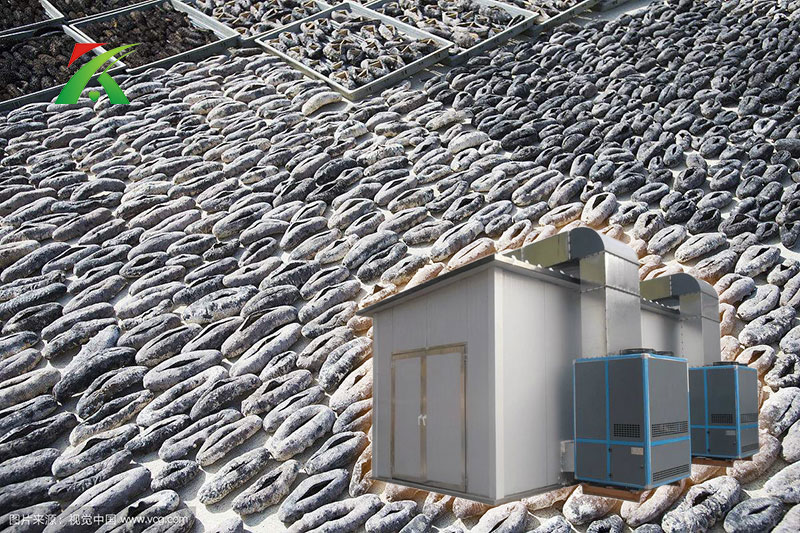 空氣能熱泵烘干海參