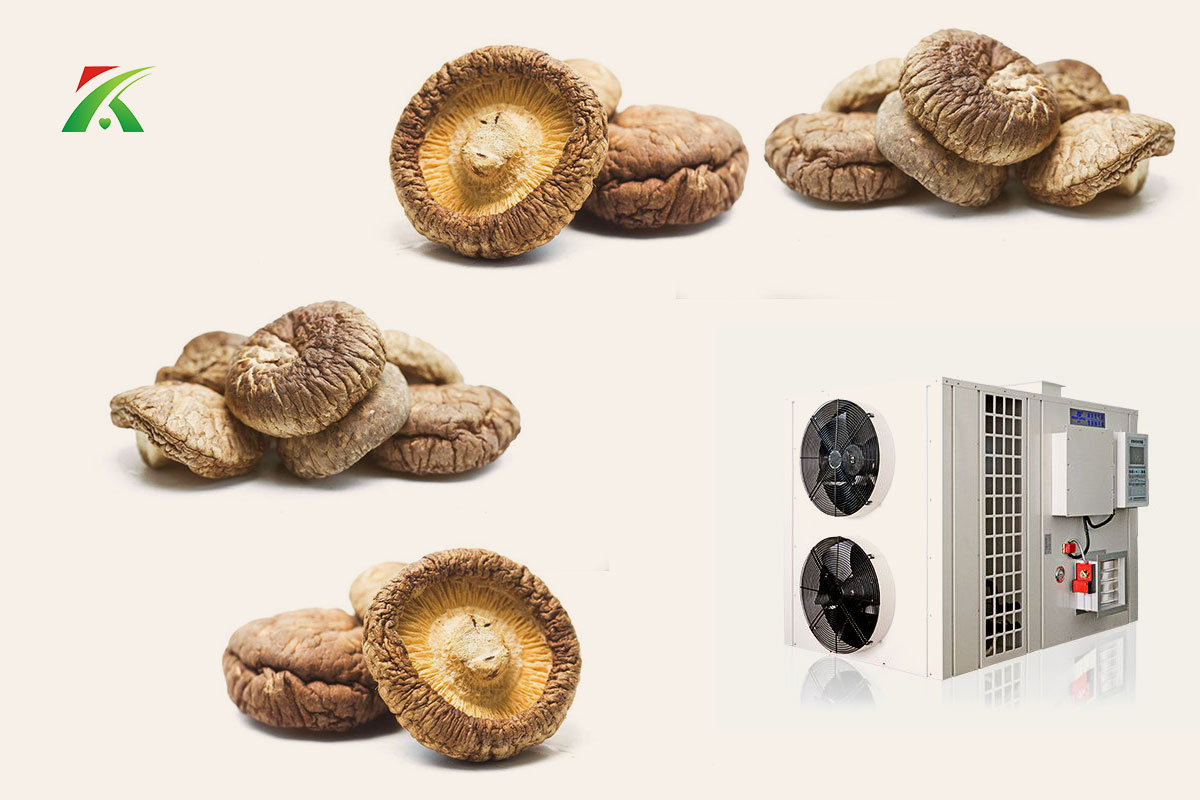 空氣能熱泵烘干